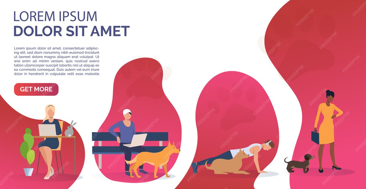 Работа с обратной связью и итеративное улучшение